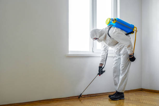 Best Pest Prevention Services  in Buies Creek, NC